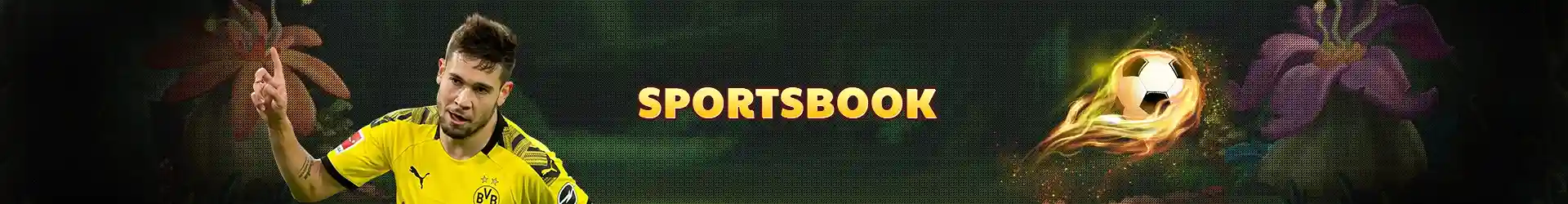 okgames sports image 2